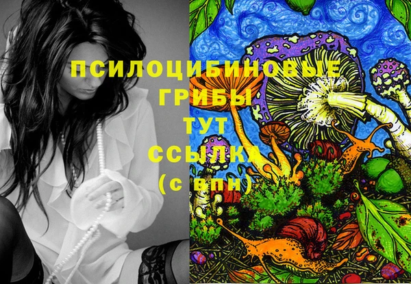 MDMA Михайловка