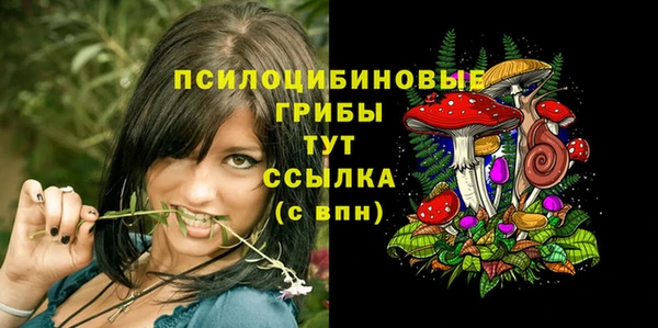 MDMA Михайловка